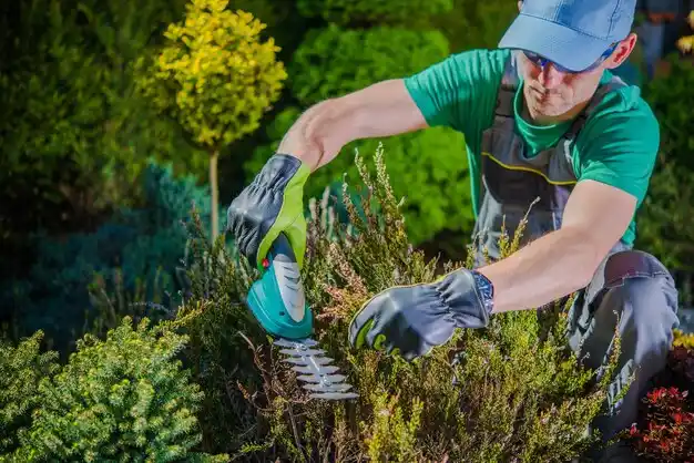 landscaping services Rabbit Hash